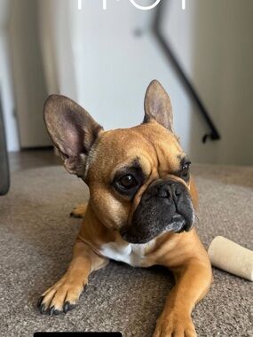 Meet your Posher, Khloe.